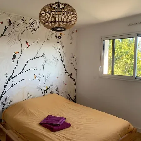 Maison De Famille A Bordeaux - Piscine Chauffee بيت للعطل لو بوسْكا